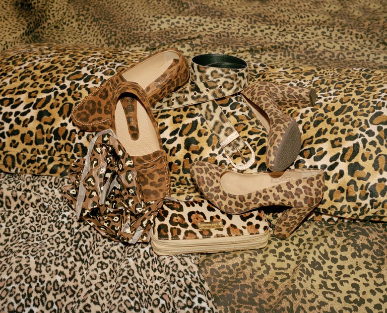 Image of Cheetah Still Life print