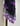 Purple Fuchsia
