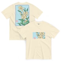 Image 1 of Lilies & Lullabies