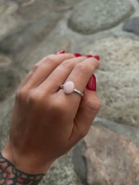 Plain Conch Ring