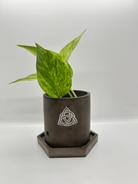 Image 1 of 3”x3” Circular Cement Pot with Celtic Knot Sticker