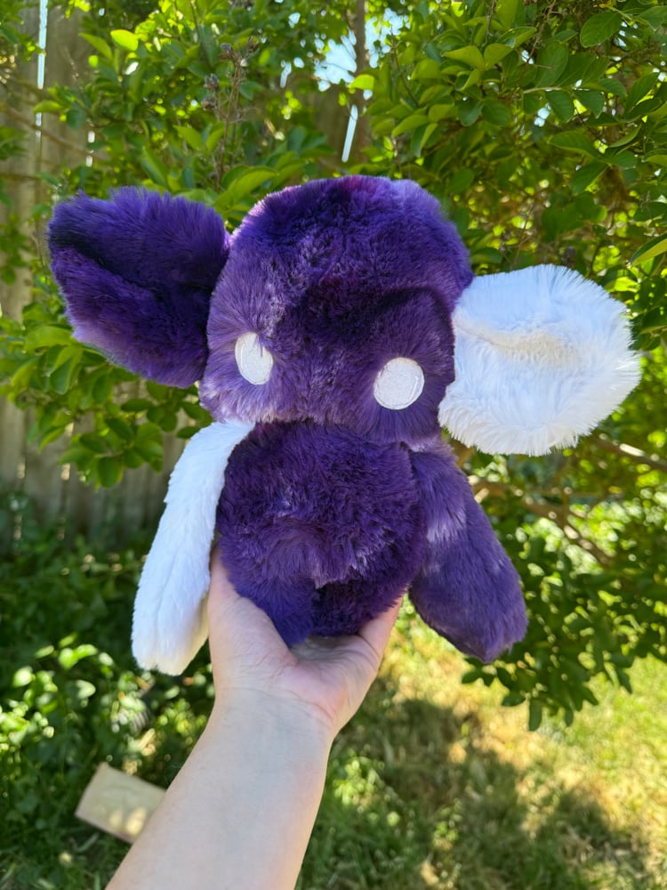 Image of nursery void purple