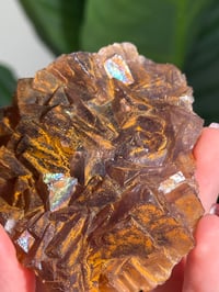 Image 13 of NATURAL RAINBOW IRIDESCENT CUBIC FLUORITE -CHINA- F