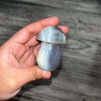 Image 2 of Orca Agate Musroom A