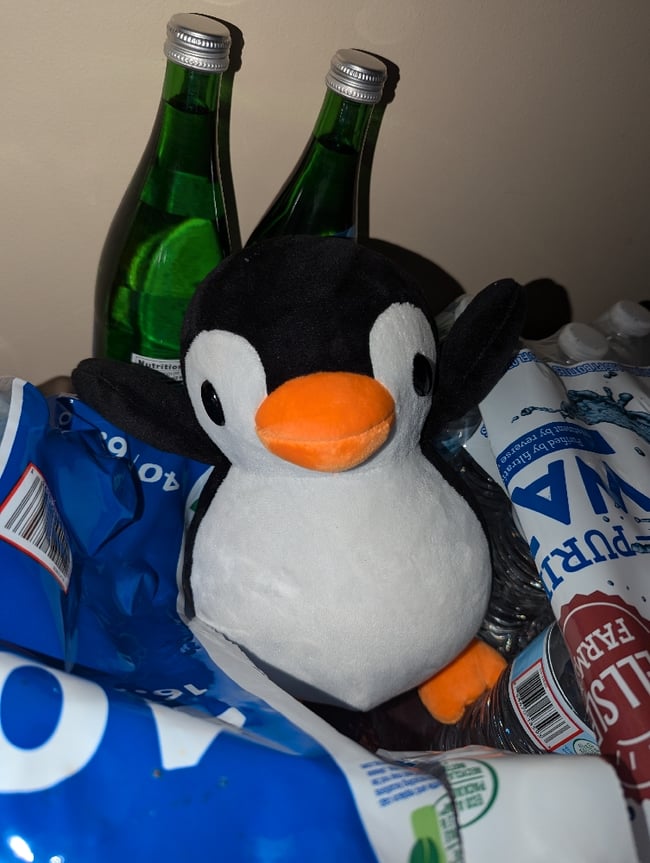 Percy The Penguin Plush [PRE ORDER]
