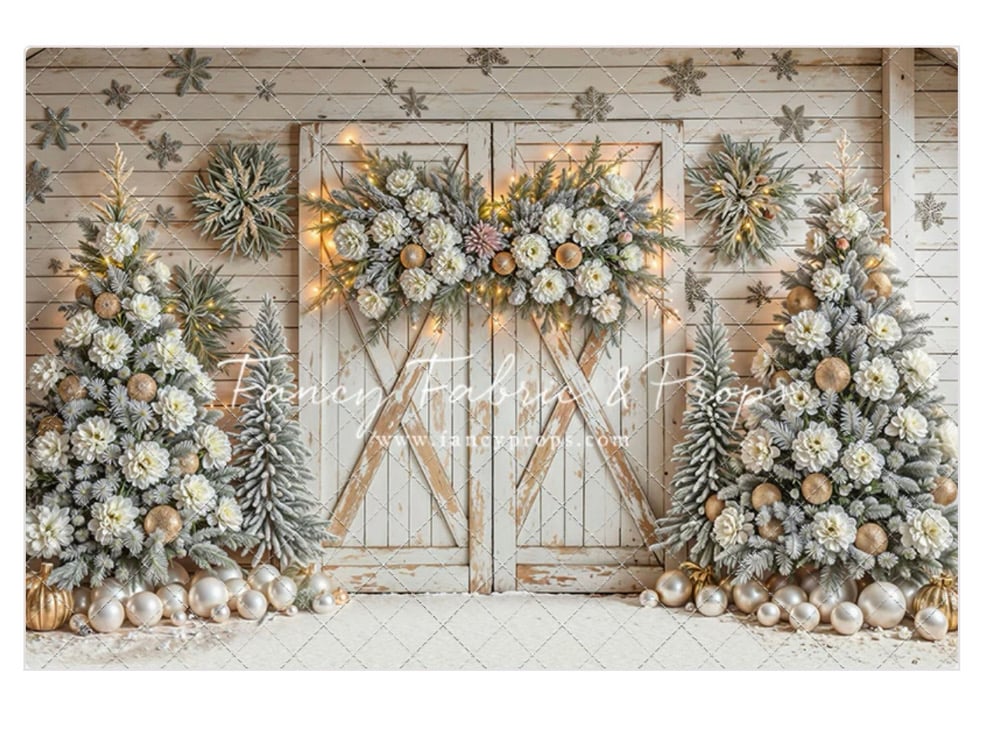 Image of Christmas Minis 2025 (message for alternate days)