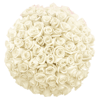Image 3 of ‘Keep it 100’ - 100CT