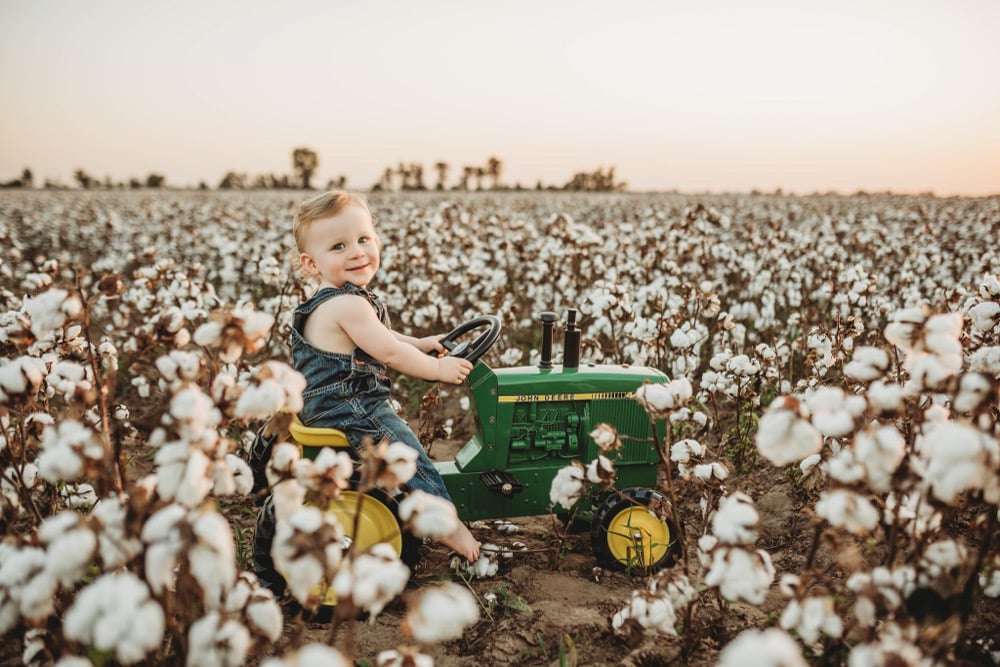 Image of Cotton Mini Session (READ DESCRIPTION)