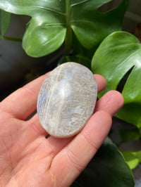 Image 4 of Moonstone Palm Crystal (4)