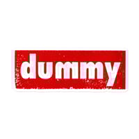 Image 1 of Dummy Logo Sticker