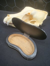 Image 3 of Beautiful Vintage Ebony wooden jewellery trinket Box & Preserved Web D