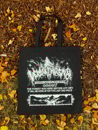 Image 2 of STRIGIDAE SORCERY 