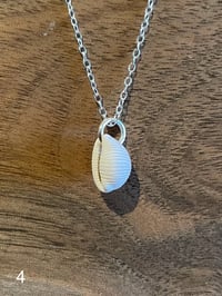 Image 4 of Devon Cowrie on Sterling Silver Chain