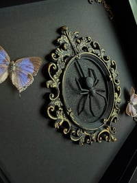 Image 3 of Double butterfly