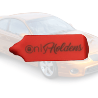 ONLY HOLDENS TAGS