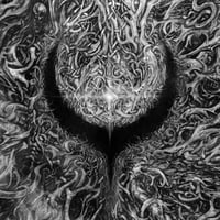 Image 2 of Pre-Order | Interwoven, Slipcase LP (Shadow Black)