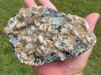 Image 1 of UV Cookie Calcite Specimen #1839