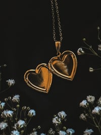 Image 3 of The Evergreen Locket