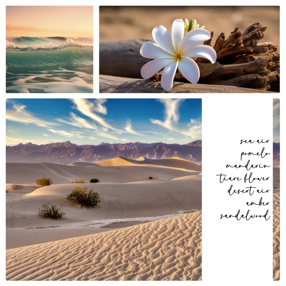 Image of Desert Aire Women’s Perfume