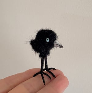 Image of Very Tiny Raven Baby #1