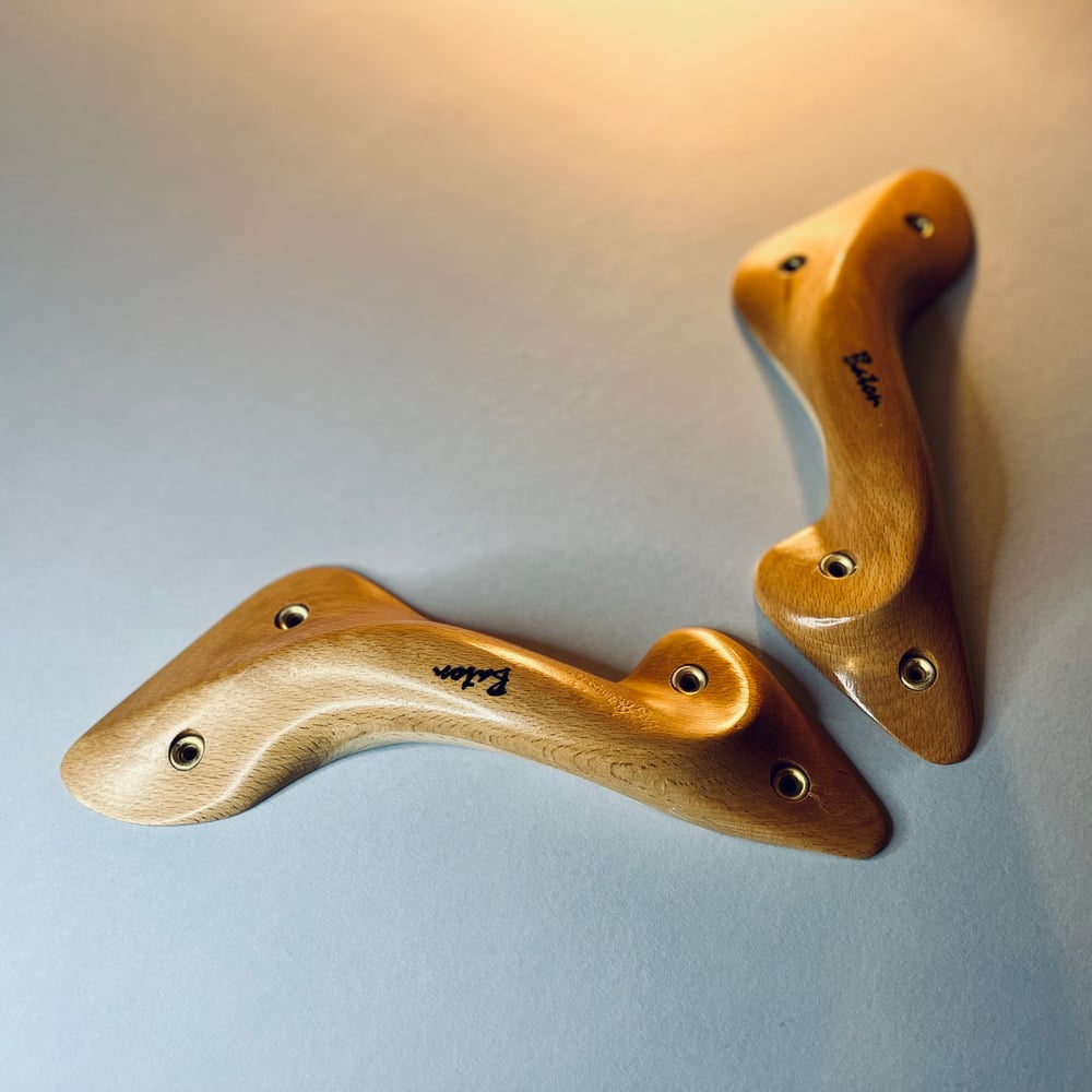 Beech Antlers