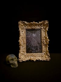 Image 1 of Silver Champagne  ornate framed preserved web