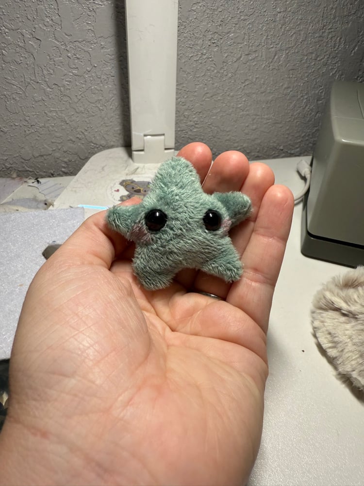 Image of Tiny star seafoam 2