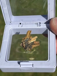 Image 20 of Golden Rutile & Hematite Star Specimen|Brazil #2932