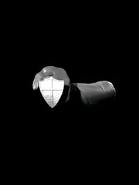 Image 2 of Somatic Shield Ring