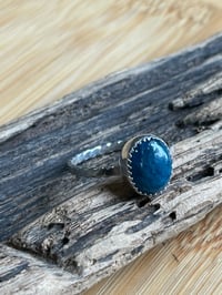 Image 3 of Neon Apatite