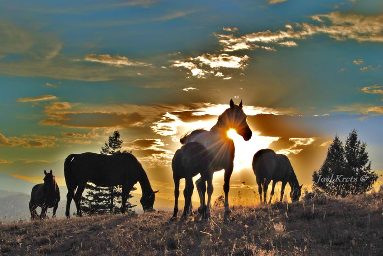 Image of Sundown at Salt