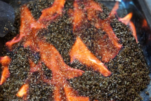 Image of DIGESTIVE BLEND spagyric tincture - alchemically enhanced plant extraction