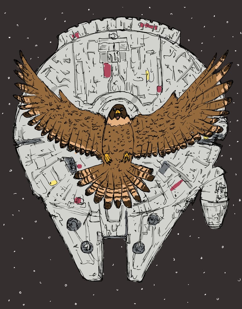 Image of "Falcon of the Millennium"