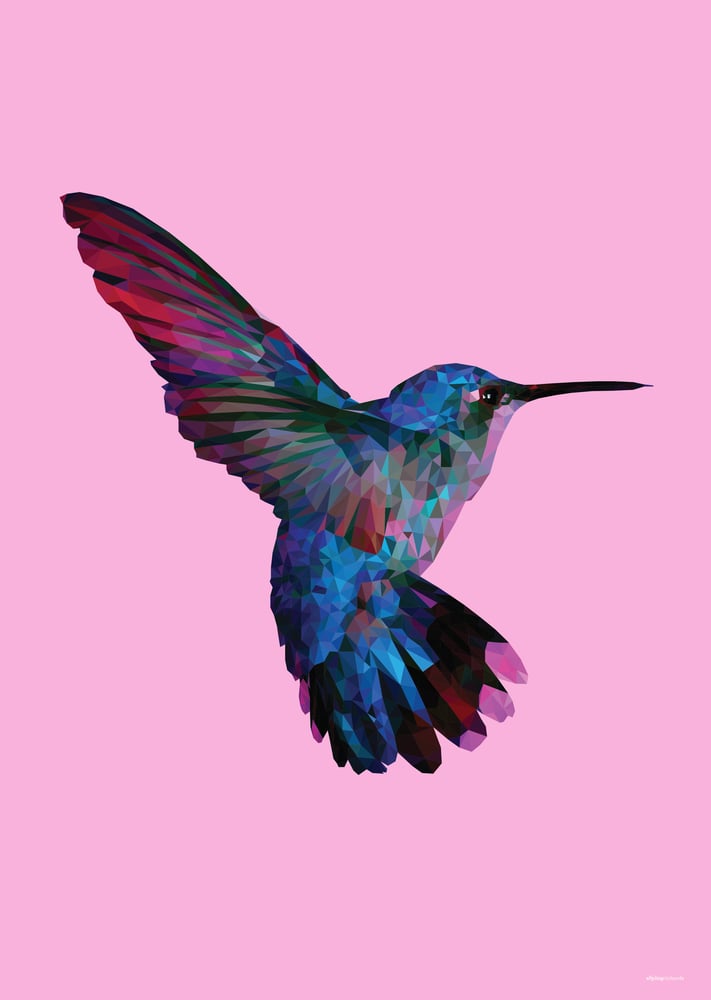 Image of Hummingbird Designs