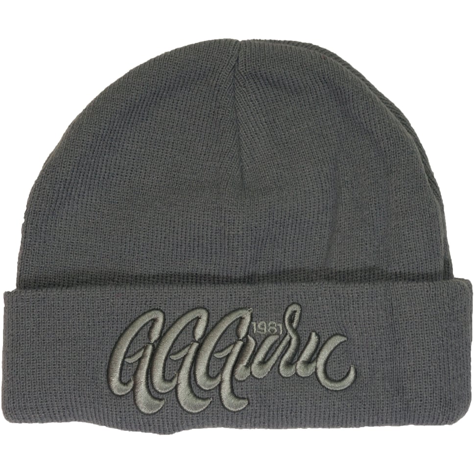 Image of Logo Beanie | Grey