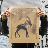 Image 4 of Dream of Krikri