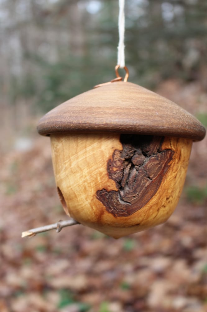 Image of Wooden Turned Acorn, Natural Edge