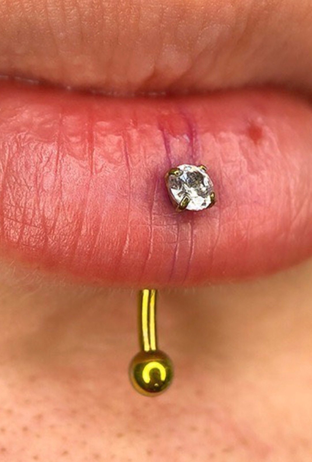 Vertical hot sale labret inverse