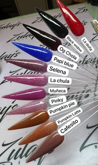 Fall Polygel Collection 30g 