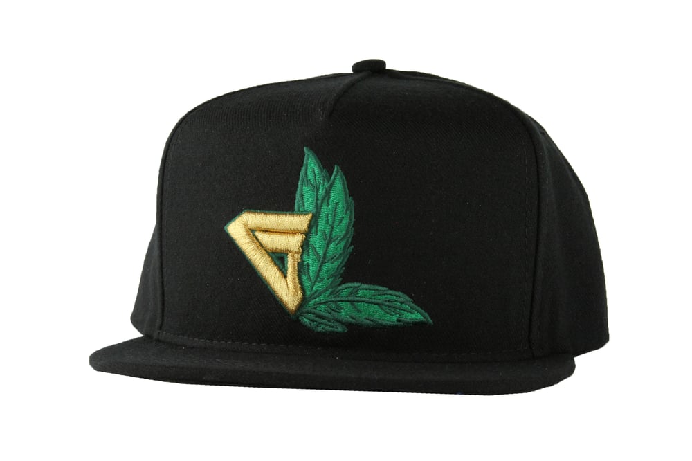 Image of The GL Leaf Snapback Hat in Black