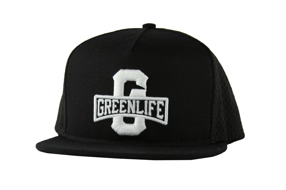 Image of The GreenLife Worldwide Snapback Hat in Black