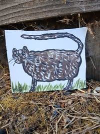 Image 7 of Cat
