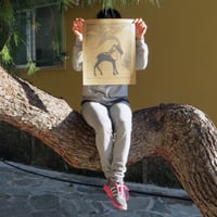 Image 2 of Dream of Krikri