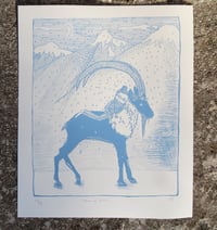 Image 5 of Dream of Krikri