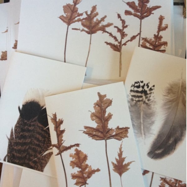 Image of Nature Gift Card Series - limited stock remaining