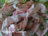 Image 4 of Mermaids Tale Third Edition, Crinkle Ribbon