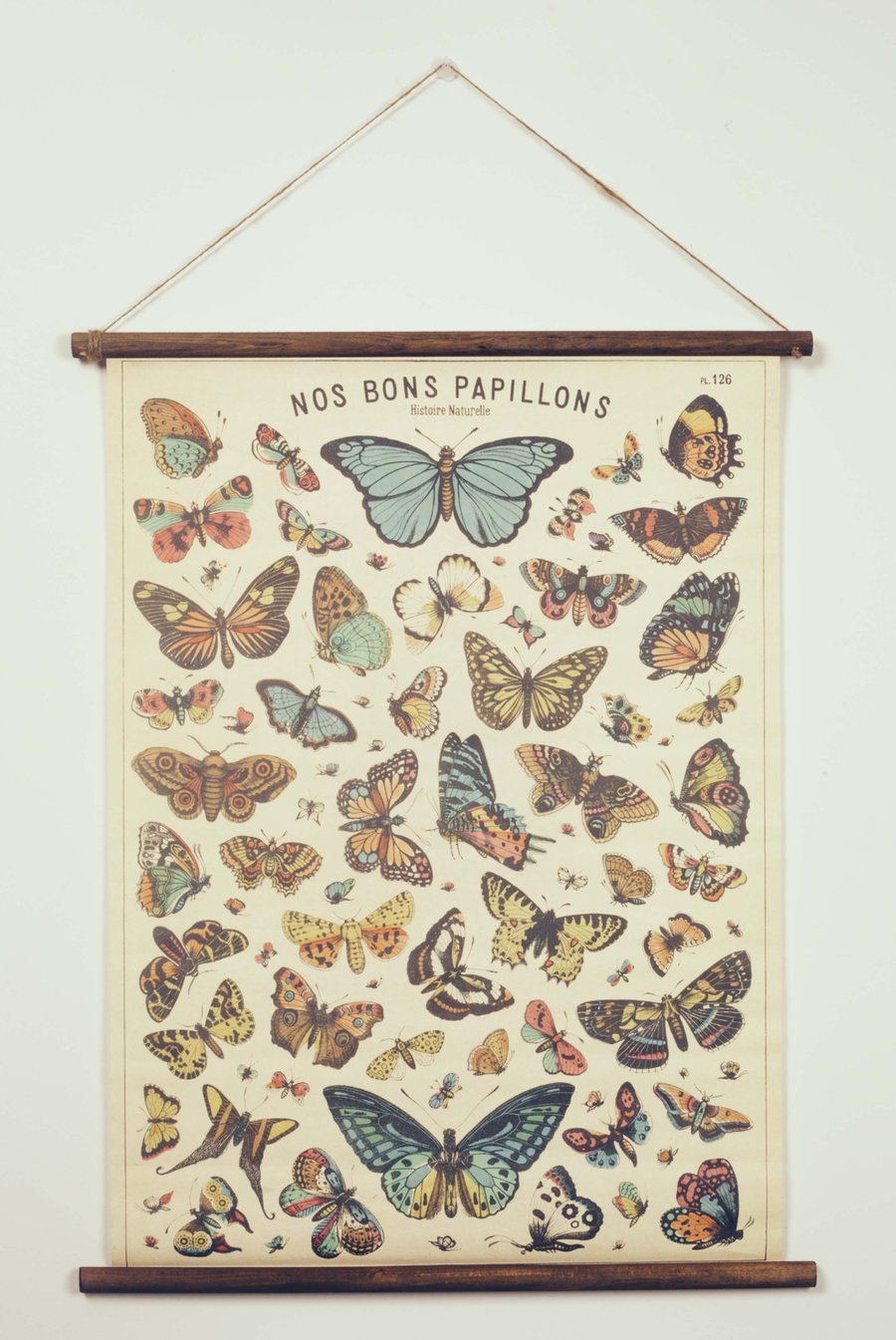 Image of Poster Vintage Papillons