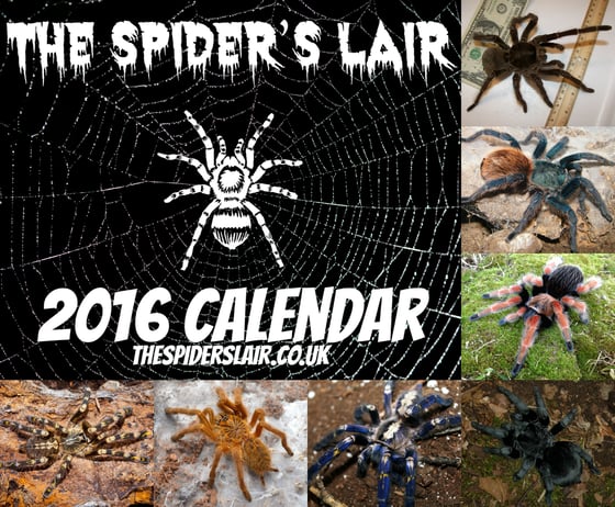 Image of The Spider's Lair Official 2016 Calendar