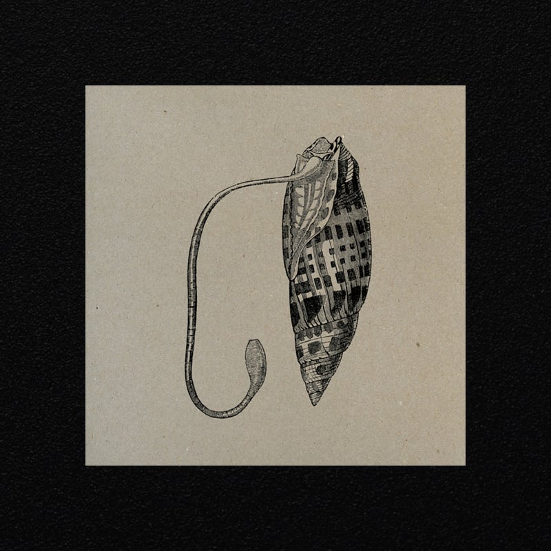 Image of mitra mitra - mitra mitra LP