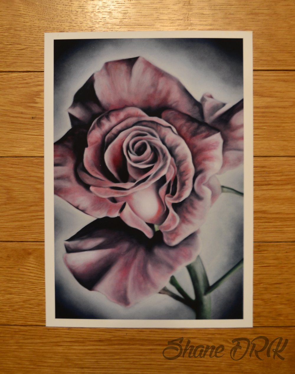 Image of Winters rose - A4 print